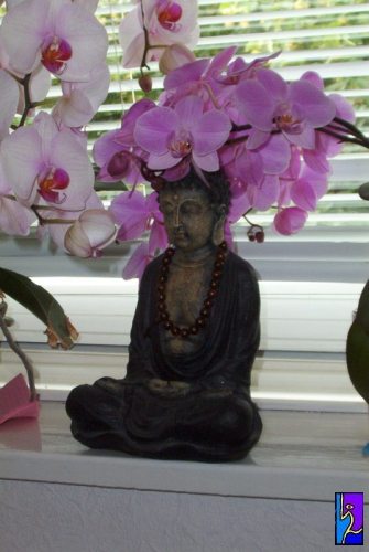 Orchideen-Buddha